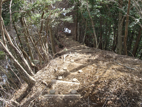 20170113hike (112)